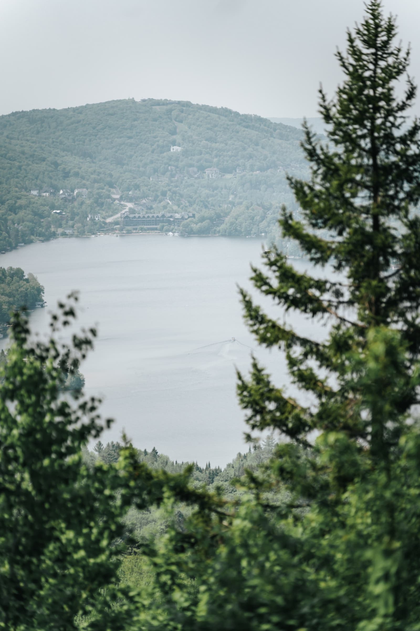 50 km contresens Trail LCDC